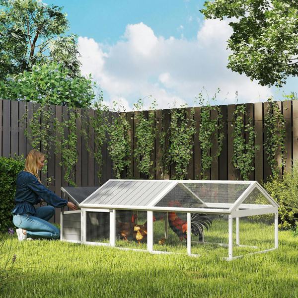 Chicken Coop