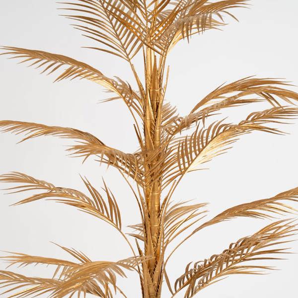 Scottish Everlastings Gold Palm 122cm