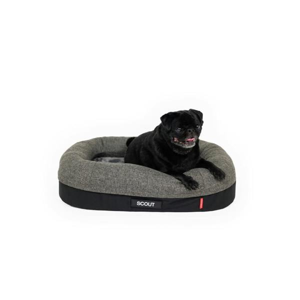 EzyDog Calm Elite Orthopaedic 2 in 1 Design Dog Bed