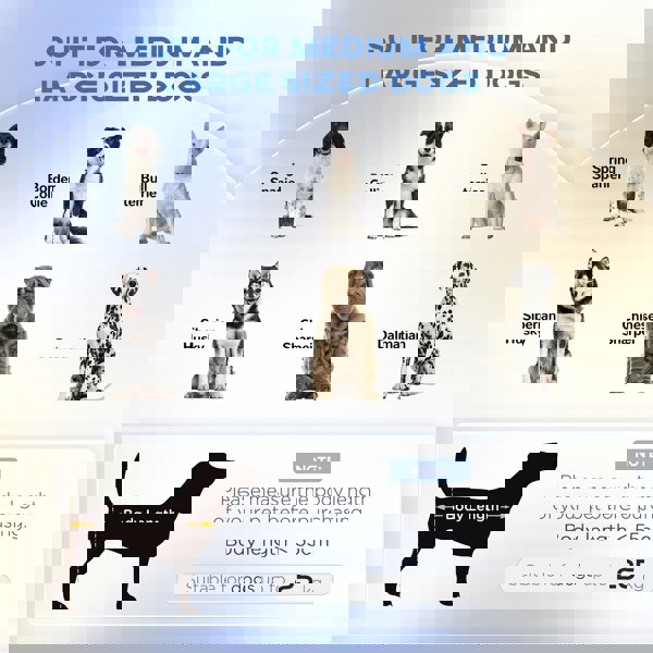 D04-269V70GY