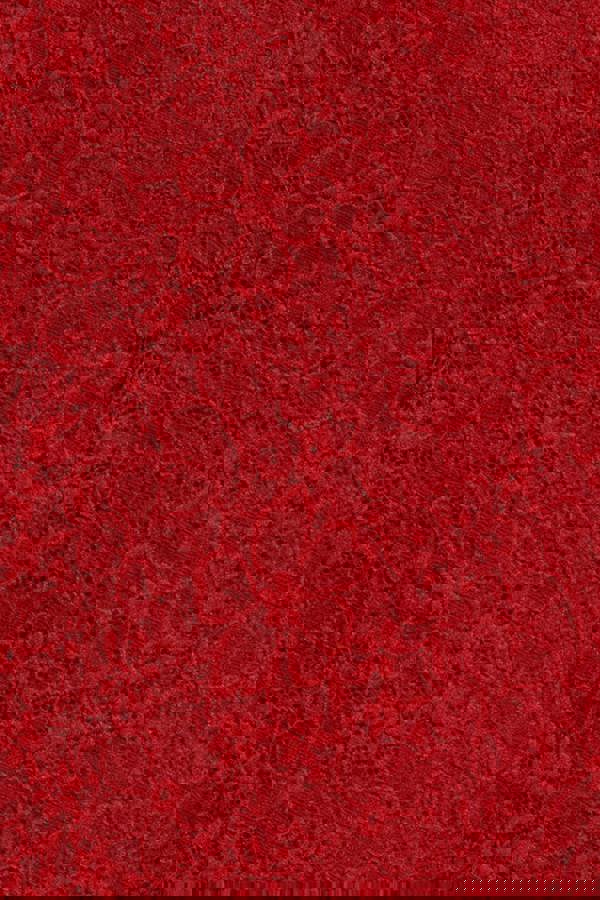 Flutter Sleeve Lace A-Line Midi Dress - Red DR4498