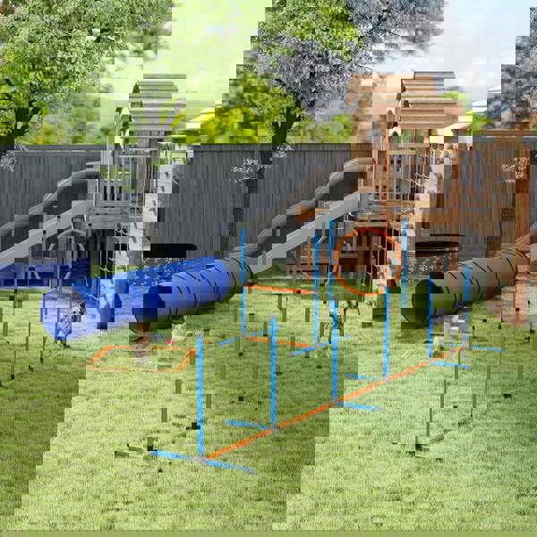 Pet Agility Set