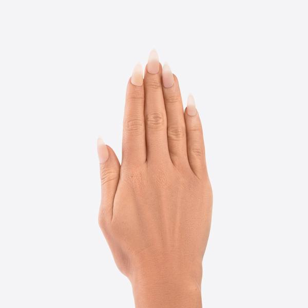 Nail HQ Almond Matte French Nails (24 Pieces)