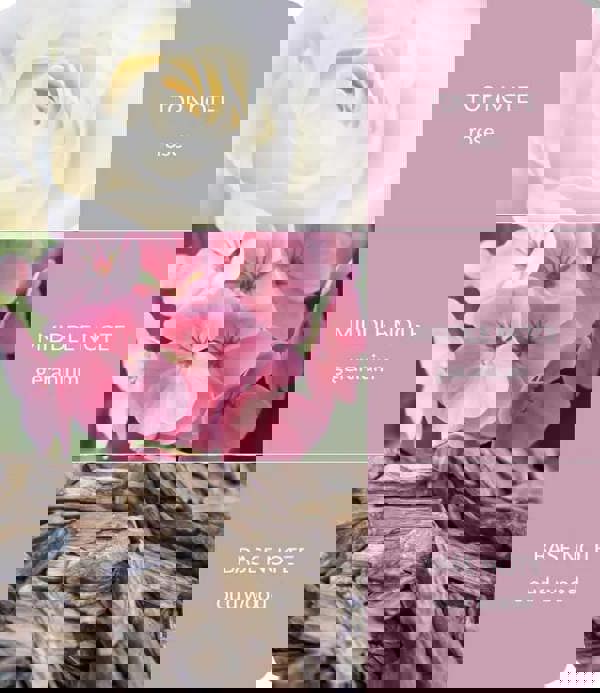 BAMBOO Oud Wood & Geranium - Large Bamboo Fragrance Diffuser