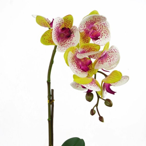 Leaf 46cm Artificial Orchid Harlequin Pink with Silver Pot