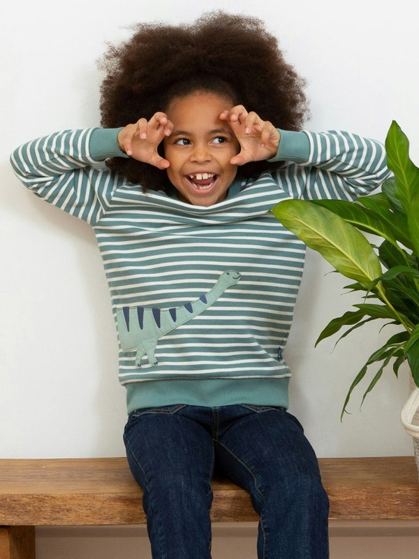 Kite Boys Organic Dippy Dino Sweatshirt