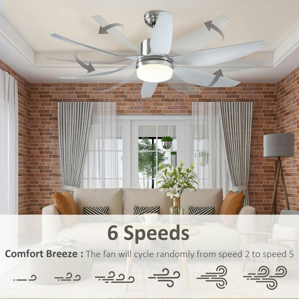 Ceiling Fan With Light