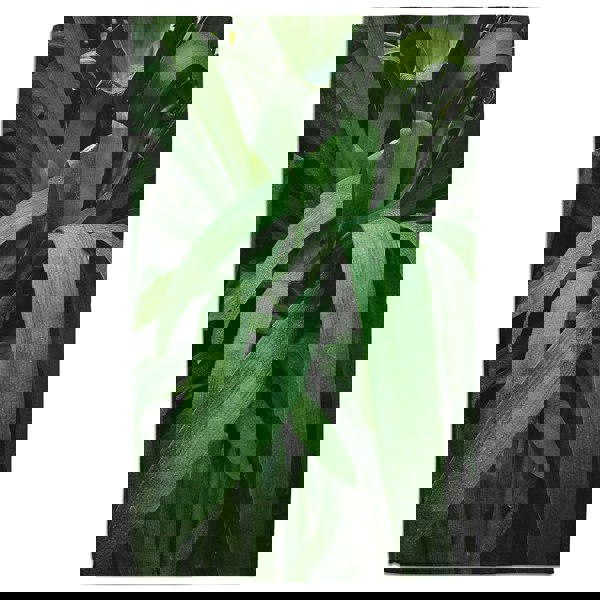 Benjamin Tate Design Tropical leaves closeup, Greenhouse, Atmospheric background, Selective focus (Bath Towel)