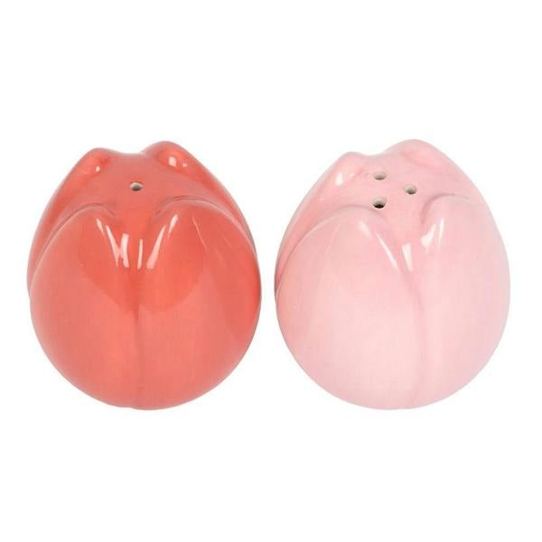 Kingsbury Gifts Spring Bloom Ceramic Tulip Salt & Pepper Shaker Set