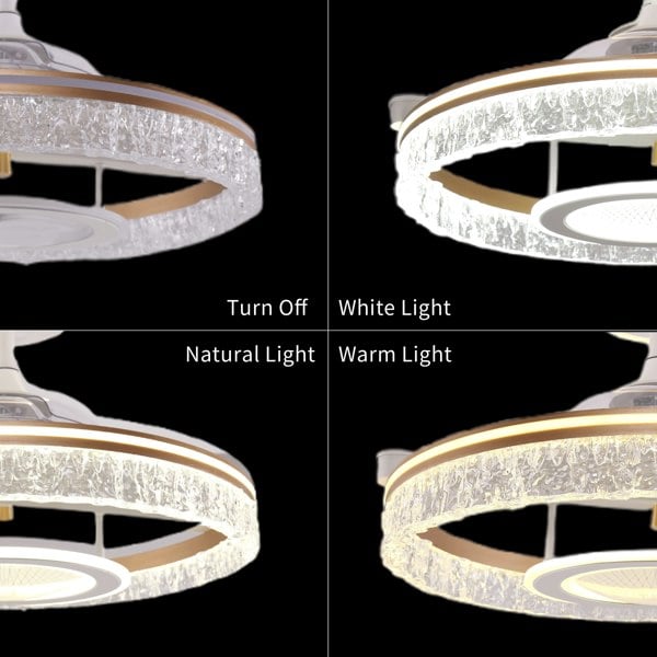 Lightsin Whisper Quiet Reversible Ceiling Fan with Light Acrylic and Metal Fan Ceiling Light Fixture Lightsin UK 
