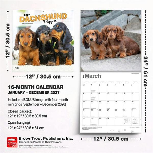 Dachshund Puppies Calendar 2027, Wall Calendars, Month To View, Dogs, Gift