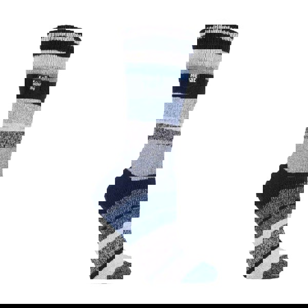 t4option1_38