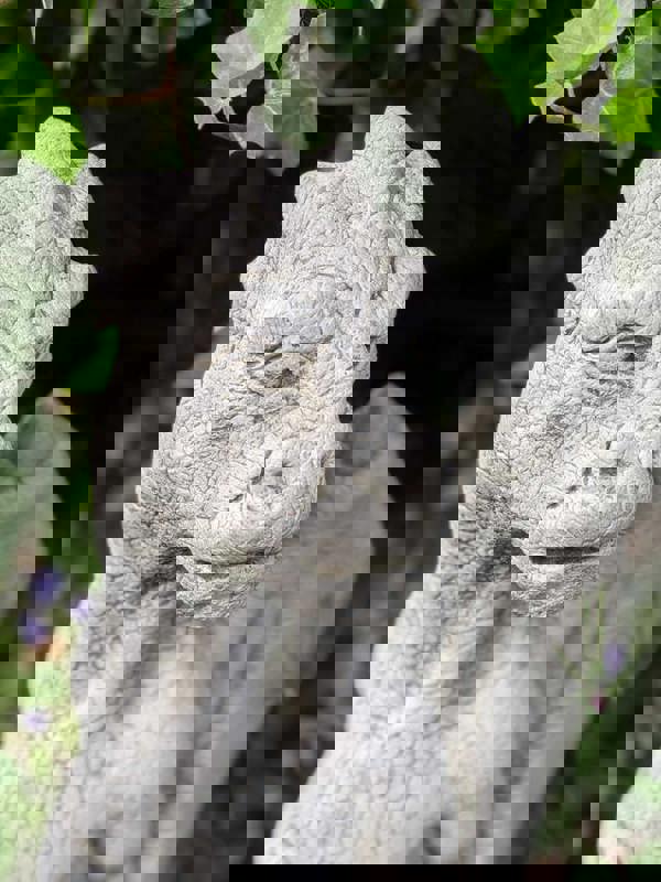 Stone Cast Gatekeeper Dragon Gargoyle Statue