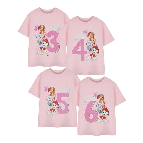 Paw Patrol Girls Short-Sleeved Birthday T-Shirt - Pink