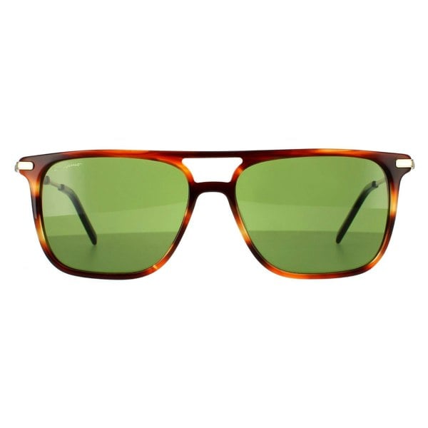 Salvatore Ferragamo Sunglasses SF966S 216 Striped Brown Solid Green