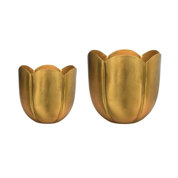#color_gold