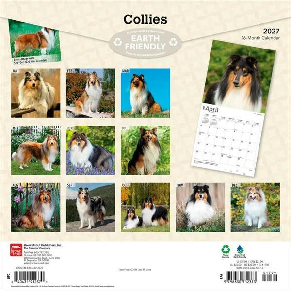 Collies Calendar 2027, Wall Calendars, Month To View, Dogs, Gift