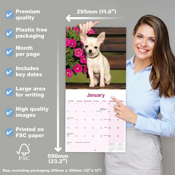 Chihuahua Calendar 2027, Wall Calendars, Month To View, Dogs, Gift