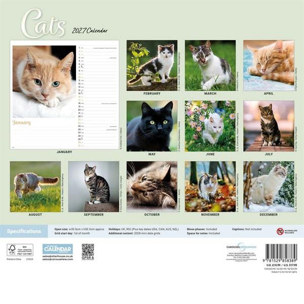 Cats Calendar 2027, Wall Calendars, Month To View, Cats, Gift
