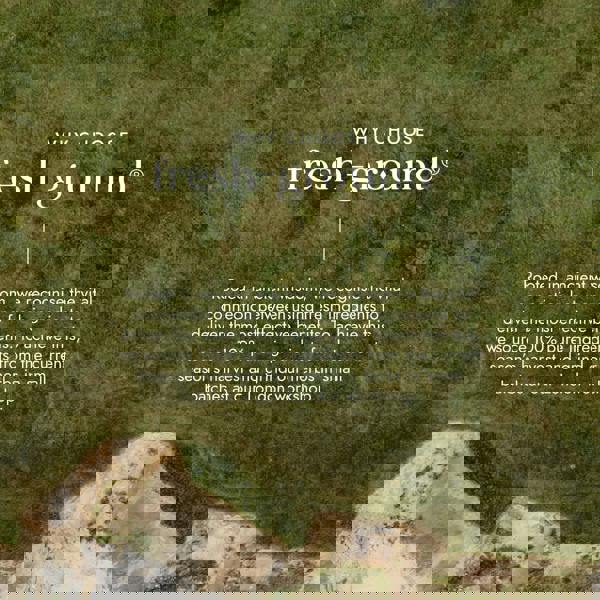 Fushi Single Herb Supplements Organic Ginkgo Biloba x 60 Capsules - Additional 5