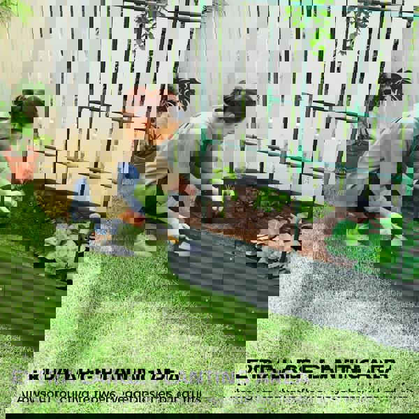 Multi-functional Garden Bed