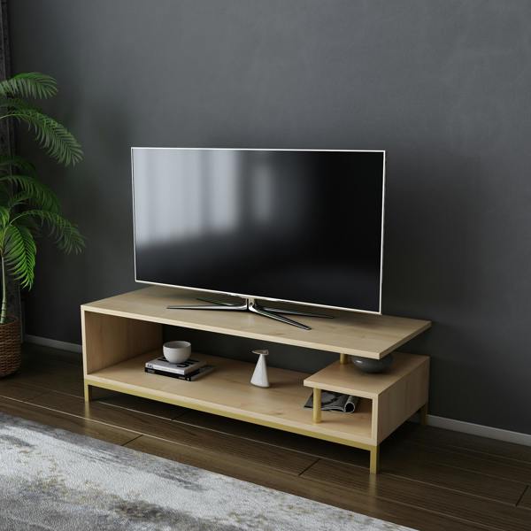 Decorotika Reilly Modern Tv Stand TV Cabinet for TV's up to 55"