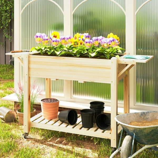 Raised Planter