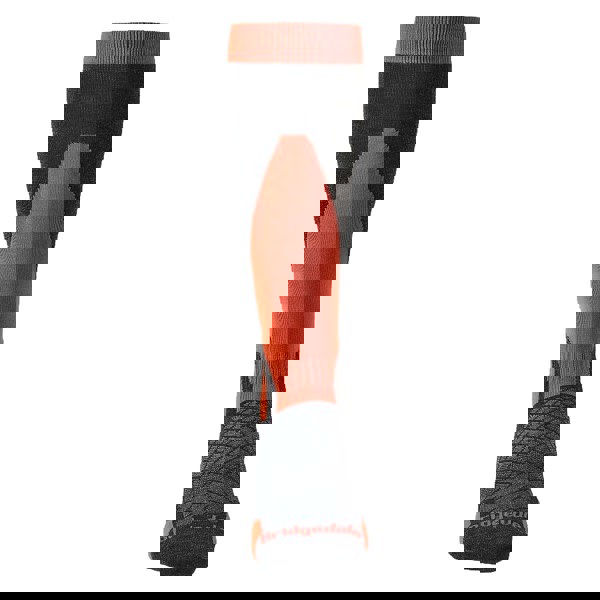 t4option1_1