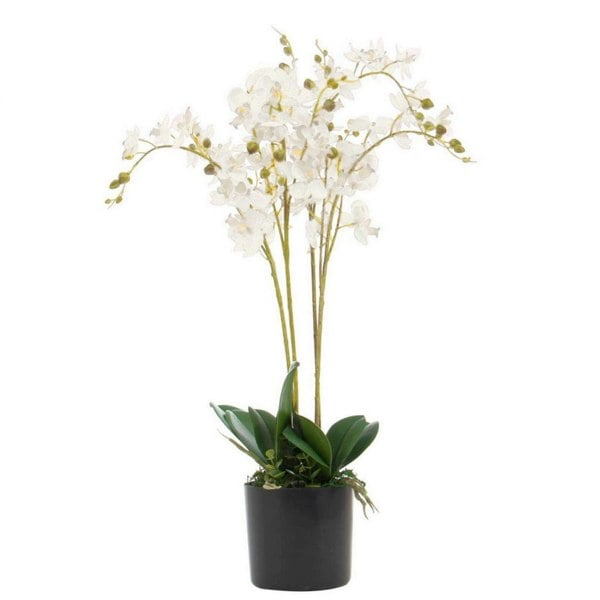 Leaf 60cm Leaf Design UK Realistic Artificial Orchid Flower Display in Pot