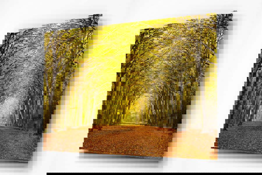 golden woodland wall artwork