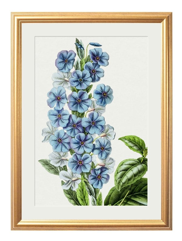 Exceptional Art Blue Floral Illustrations Set of 4 Prints