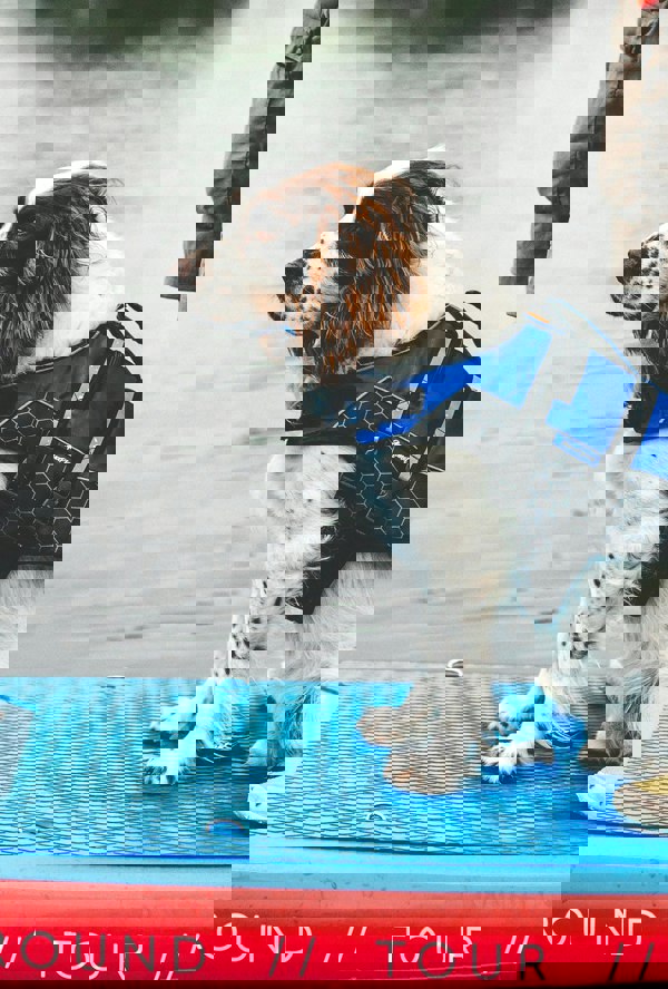 Aquaplanet PUP SUP Pet Buoyancy Aid