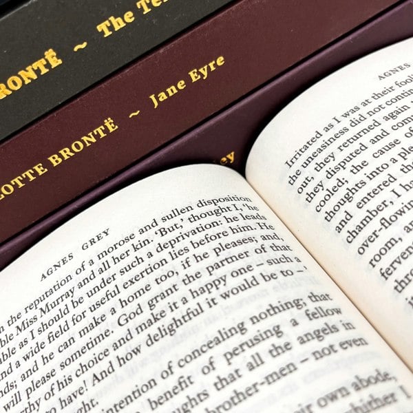 The Bronte Sisters 7 Book Set: Agnes Grey, Wuthering Heights, Villette, The Professor & more