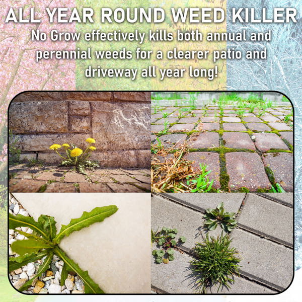 ProKleen Pro-Kleen No Grow Weed Killer For Patio And Driveways (5 Litres)