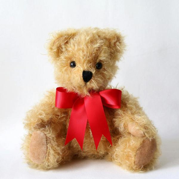 Gregory Jr the Bear by Canterbury Bears