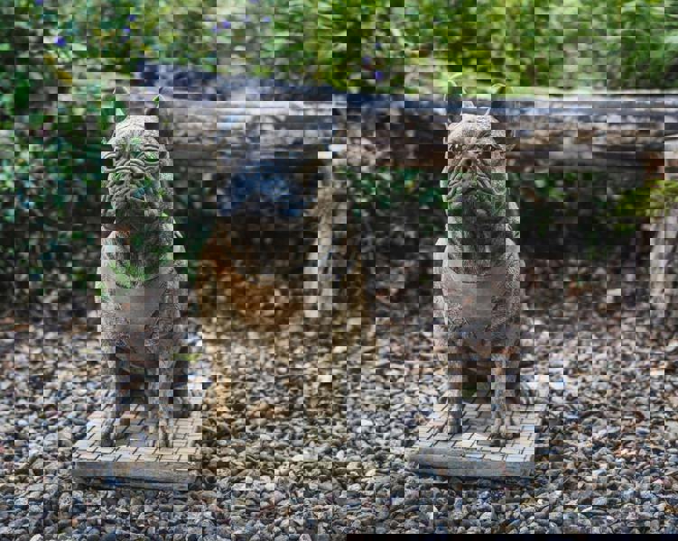 Life-Size French Bulldog Statue