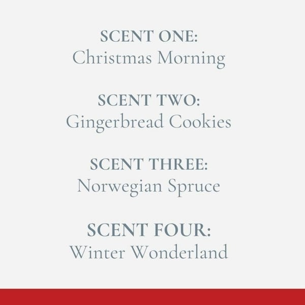 Christmas Selection Highly Scented Soy Wax Melts - 16 Pack Fosse Living Scent names