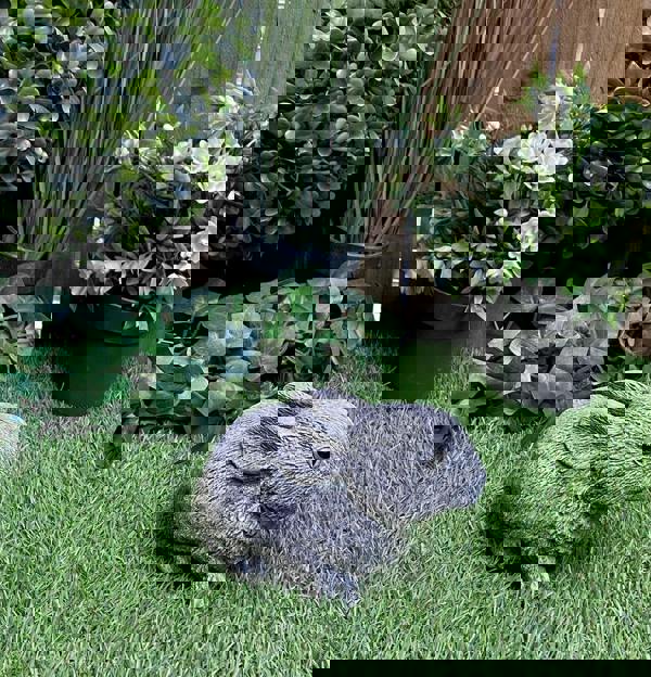 Adorable Small Rabbit Garden Ornament