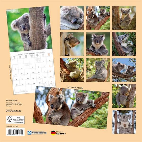 Koalas Calendar 2027, Wall Calendars, Month To View, Animals, Gift