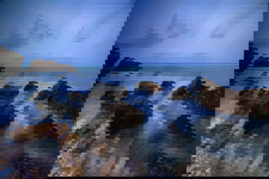 Fernlight Gallery Cap Negret