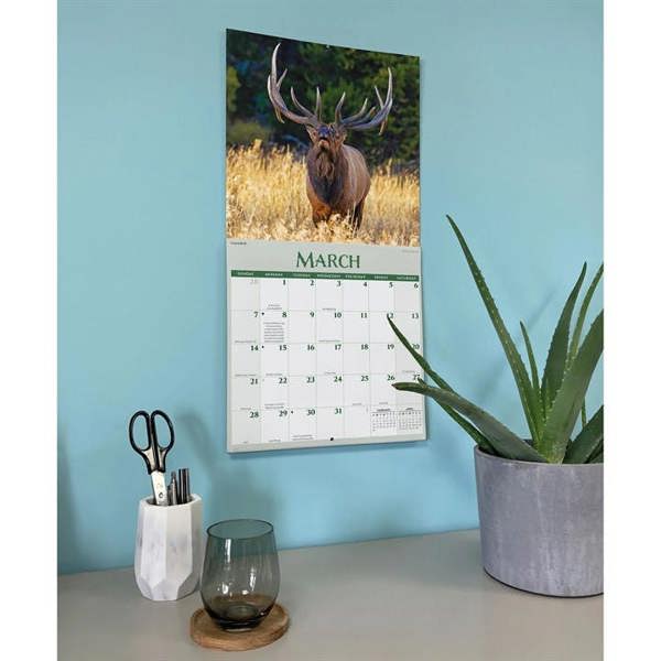 Wildlife Calendar 2027, Wall Calendars, Month To View, Animals, Gift