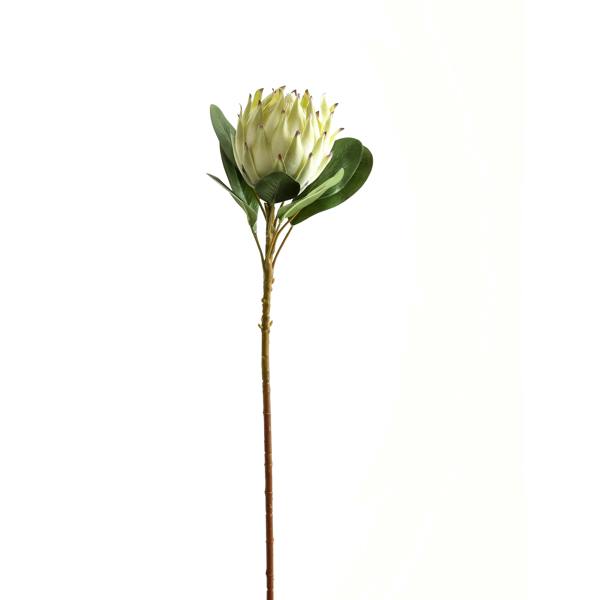 Wyld Haus Set of 3 Artificial Flowers Large White Protea