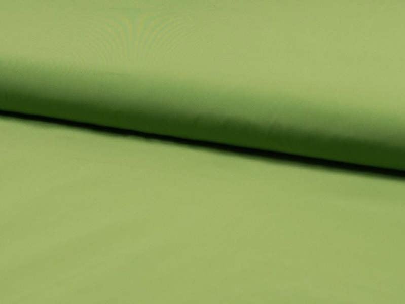 Kiwi Green