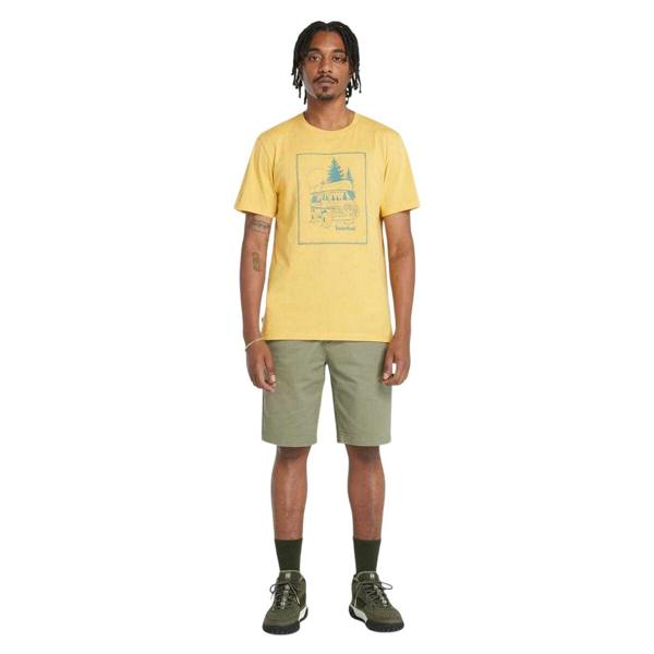 Timberland Mens Topsfield Chino Shorts - Green - 