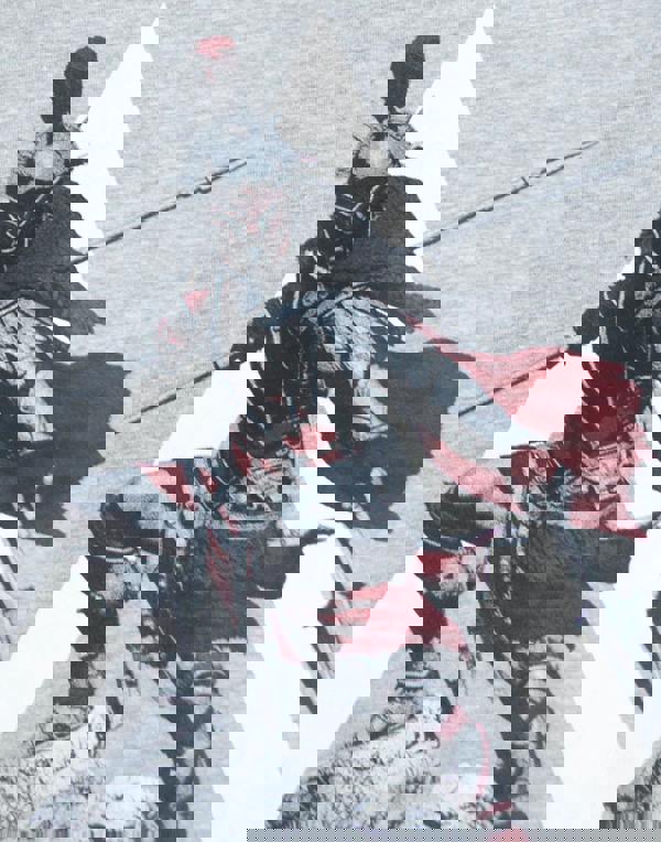 Assassins Creed Mens Grey The Knight Short Sleeved T-Shirt