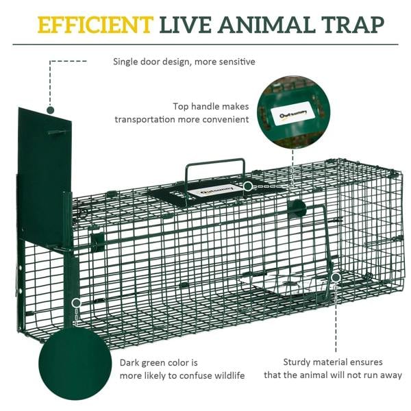 Dark green metal live animal trap with top handle and single door entrance