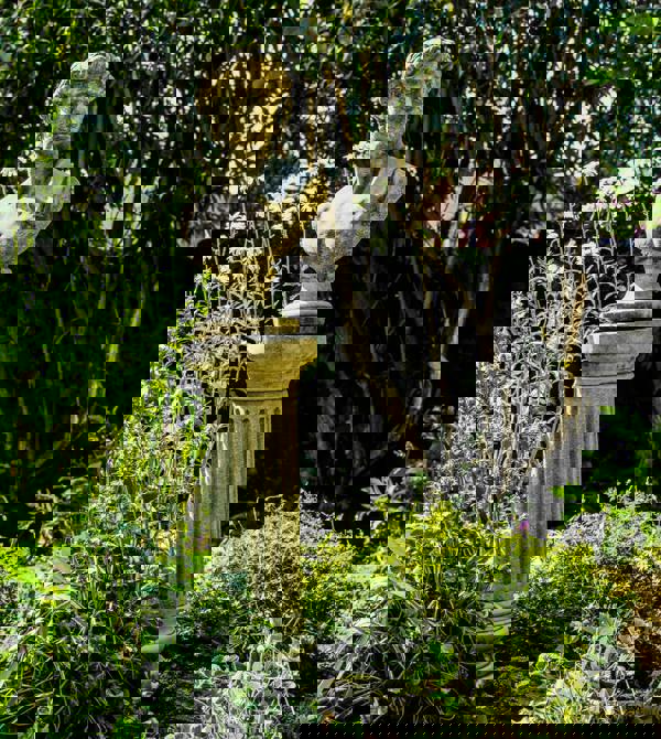 Classical David Bust on Tall Column