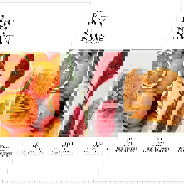 Elizabeth Arden White Tea Ginger Lily Fragrance 100 ml