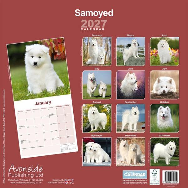 Samoyed Calendar 2027, Wall Calendars, Month To View, Dogs, Gift