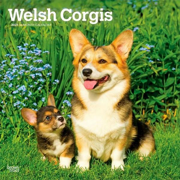 Welsh Corgis Calendar 2027, Wall Calendars, Month To View, Dogs, Gift